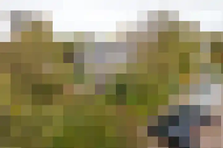Deurganck 9 Castricum thumbnail 29