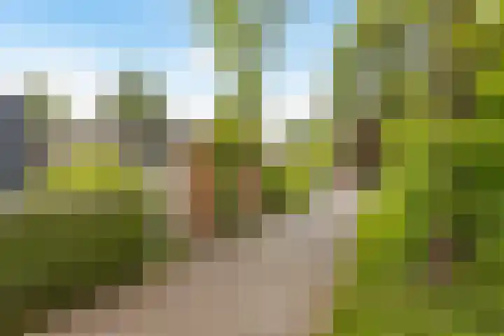 Deuringen 13 's-Hertogenbosch thumbnail 26