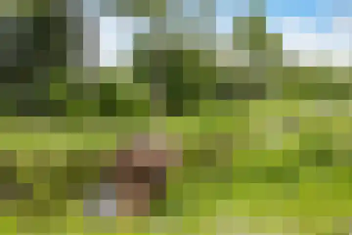 Deuringen 13 's-Hertogenbosch thumbnail 27