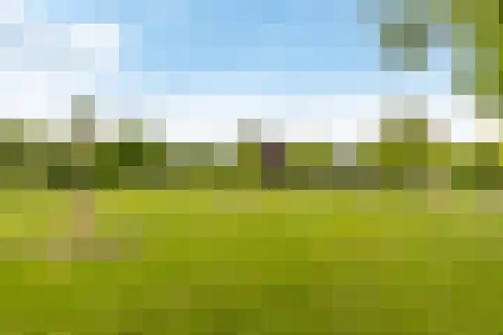 Deuringen 13 's-Hertogenbosch thumbnail 30