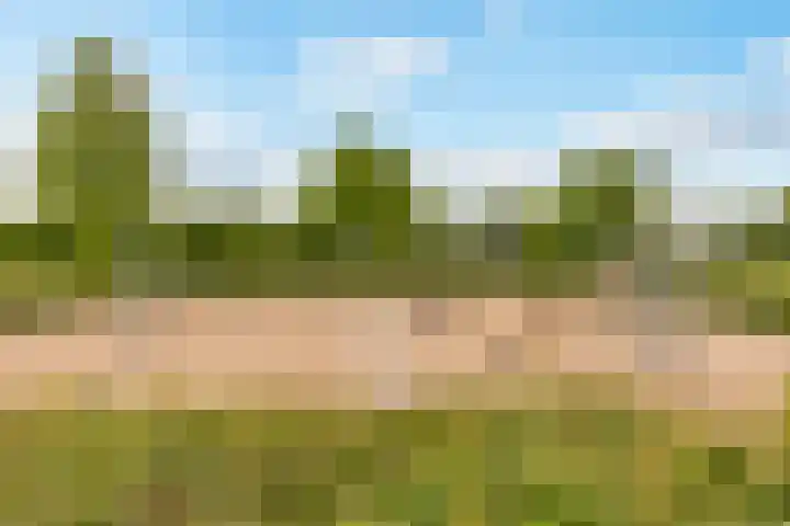 Deuringen 13 's-Hertogenbosch thumbnail 31