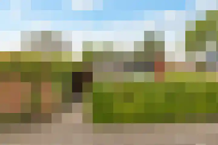 Deuringen 13 's-Hertogenbosch thumbnail 35
