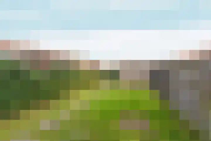 Deurloo 22 Arnhem thumbnail 28