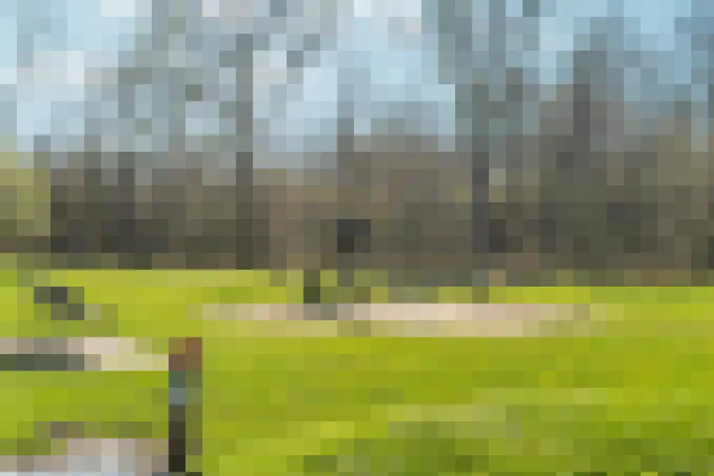 Deurloo 32 Arnhem thumbnail 33