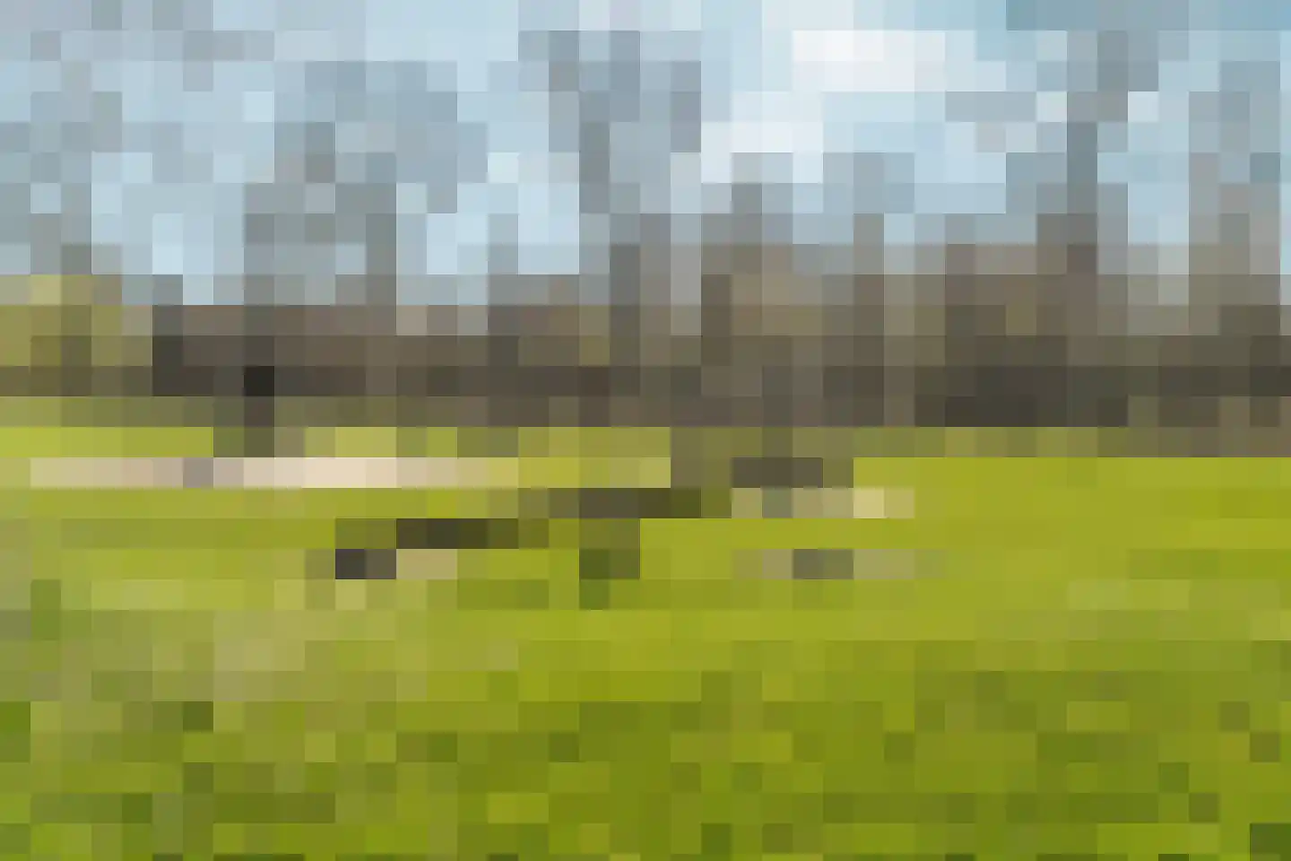 Deurloo 32 Arnhem thumbnail 34