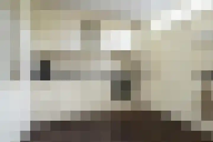 Deurloo 5 Dirksland thumbnail 14