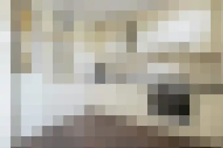 Deurloo 5 Dirksland thumbnail 15