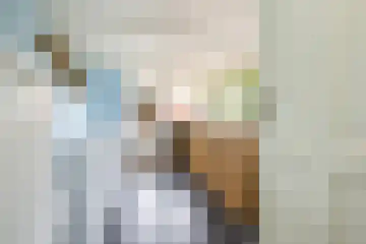 Deurloo 5 Dirksland thumbnail 17