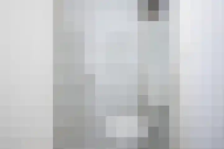 Deurloo 5 Dirksland thumbnail 18