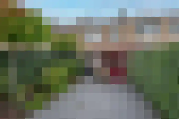 Deurloo 5 Dirksland foto 2