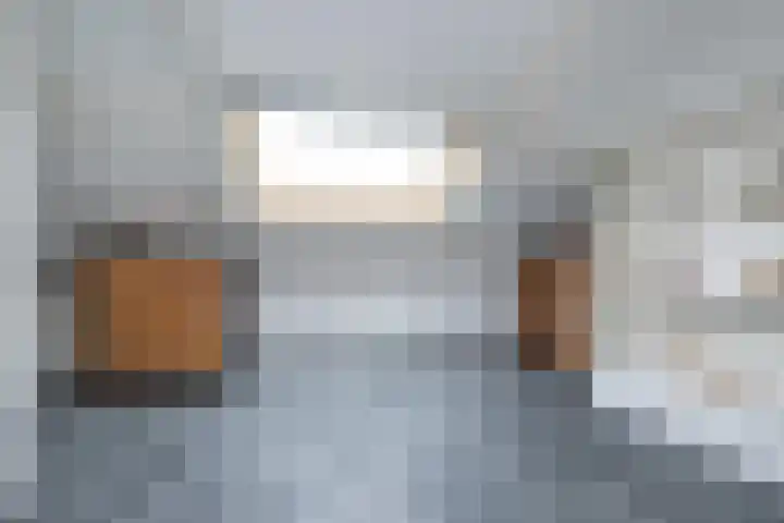 Deurloo 5 Dirksland thumbnail 28