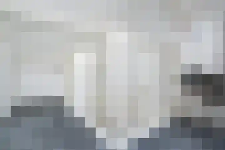 Deurloo 5 Dirksland thumbnail 29