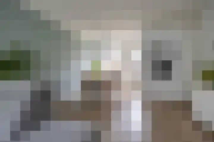 Deurloo 5 Dirksland thumbnail 30