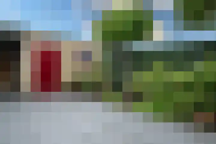 Deurloo 5 Dirksland thumbnail 32