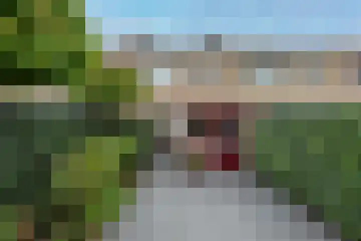 Deurloo 5 Dirksland thumbnail 33