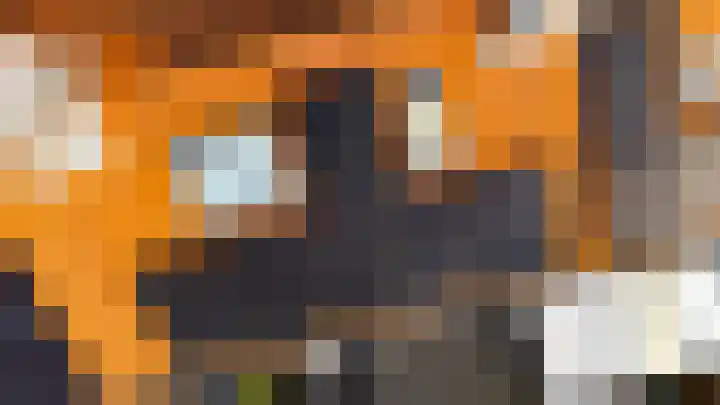 Deurloo 5 Dirksland thumbnail 35