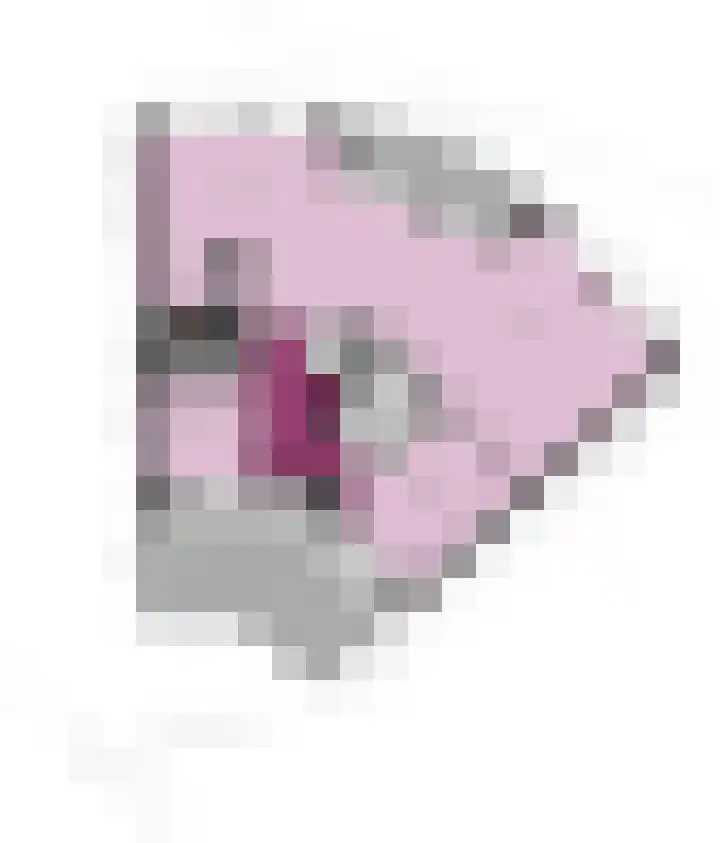 Deurloo 5 Dirksland thumbnail 38