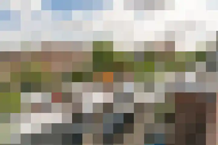 Deurloo 5 Dirksland thumbnail 4