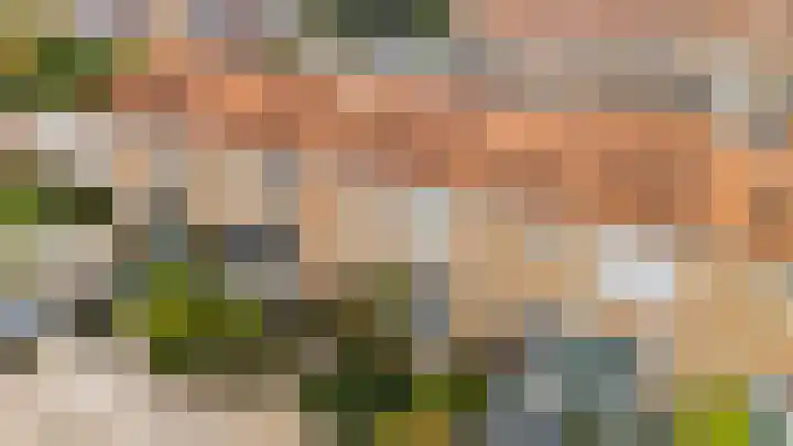 Deurloo 5 Dirksland thumbnail 5