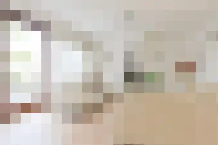 Deurloo 5 Dirksland thumbnail 7