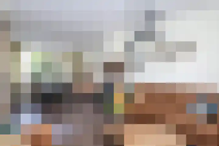 Deurloo 5 Dirksland thumbnail 9