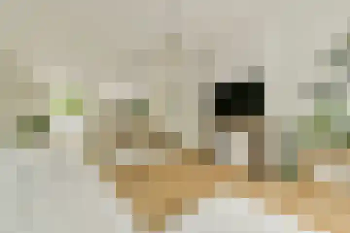 Deurloostraat 10 2 Amsterdam thumbnail 10