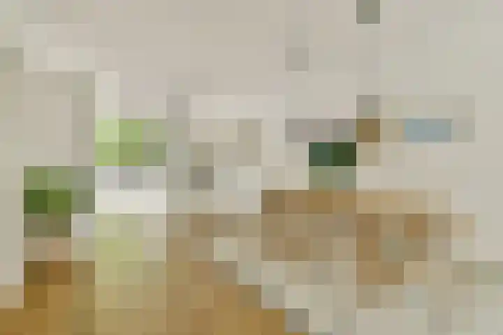 Deurloostraat 10 2 Amsterdam thumbnail 11