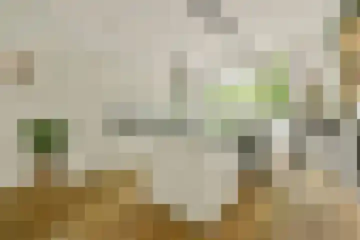 Deurloostraat 10 2 Amsterdam thumbnail 12