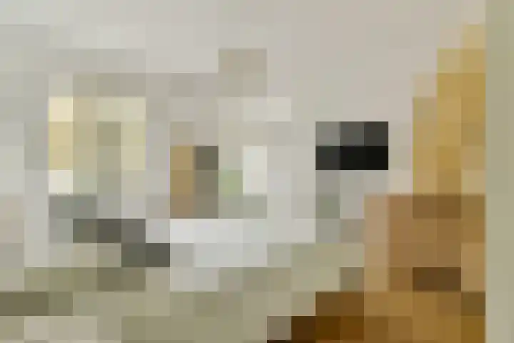 Deurloostraat 10 2 Amsterdam thumbnail 14