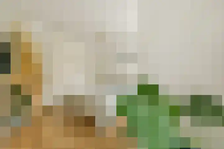 Deurloostraat 10 2 Amsterdam thumbnail 15