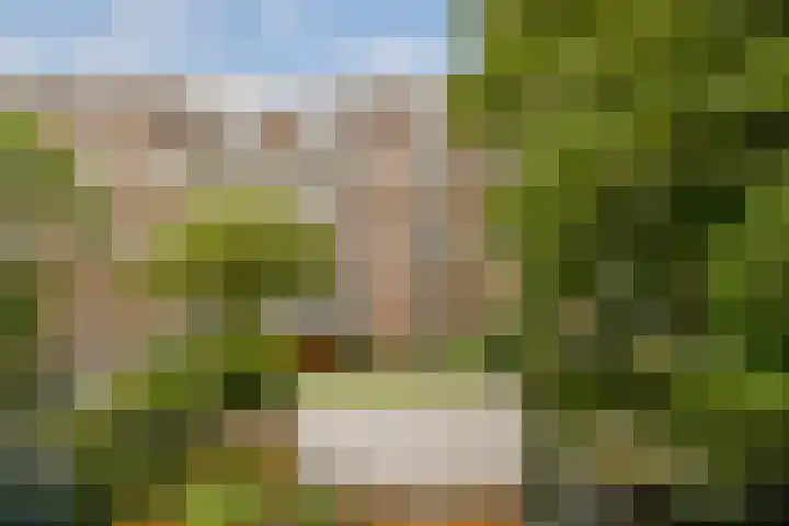 Deurloostraat 10 2 Amsterdam thumbnail 23