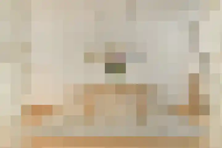 Deurloostraat 10 2 Amsterdam thumbnail 6
