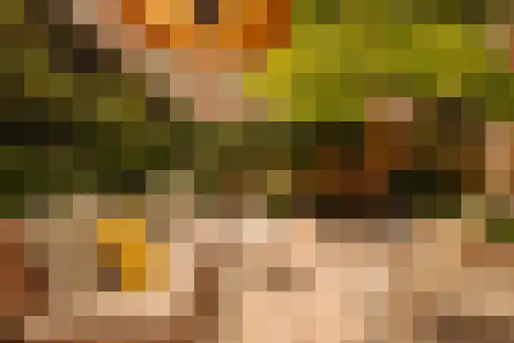 Deurloostraat 111 3 Amsterdam thumbnail 12