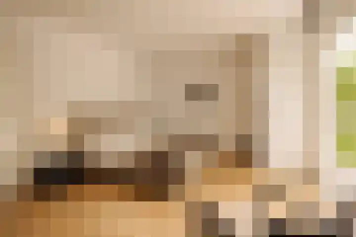 Deurloostraat 111 3 Amsterdam thumbnail 19