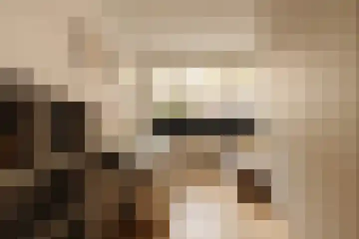 Deurloostraat 111 3 Amsterdam thumbnail 25