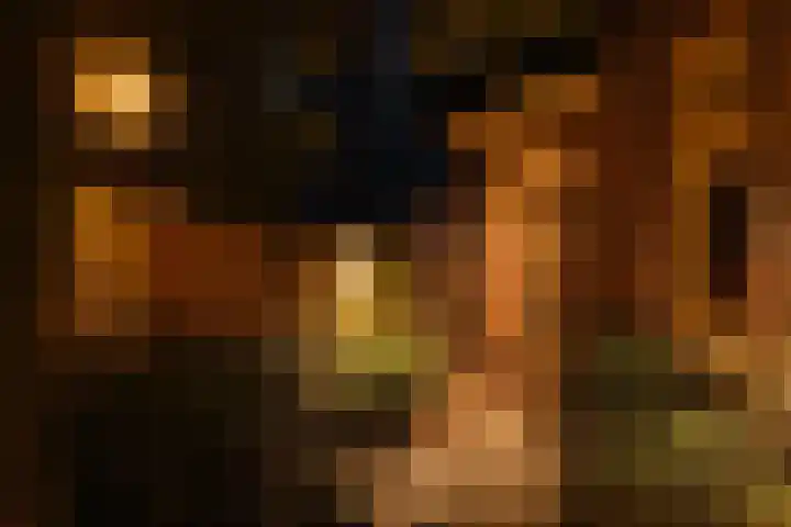 Deurloostraat 111 3 Amsterdam thumbnail 30