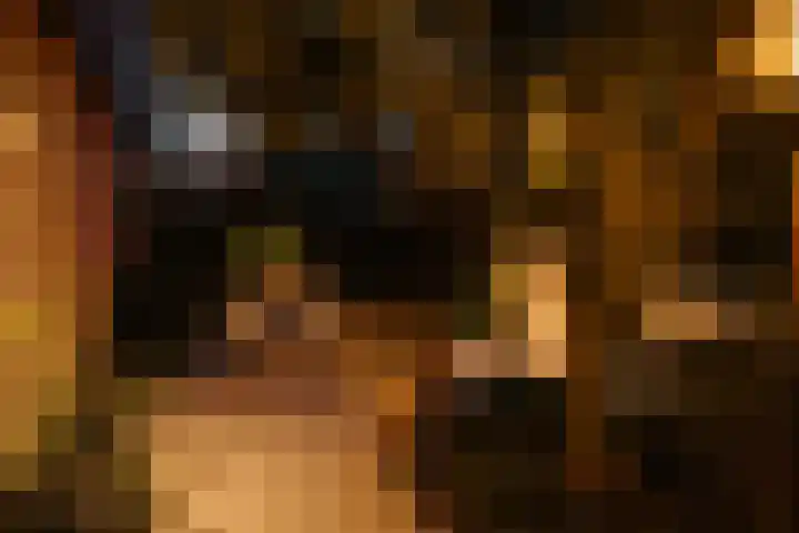 Deurloostraat 111 3 Amsterdam thumbnail 31