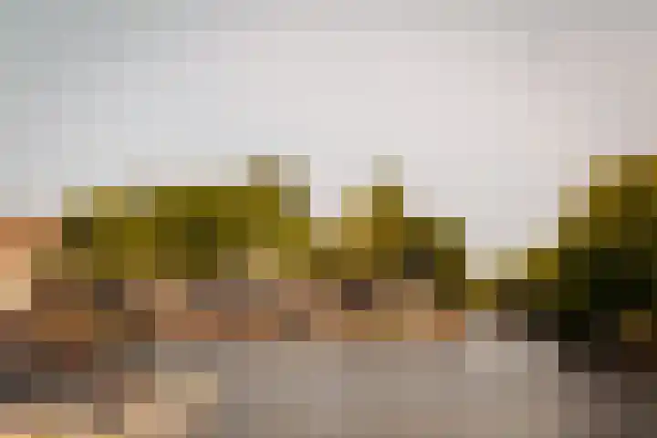 Deurloostraat 111 3 Amsterdam thumbnail 35
