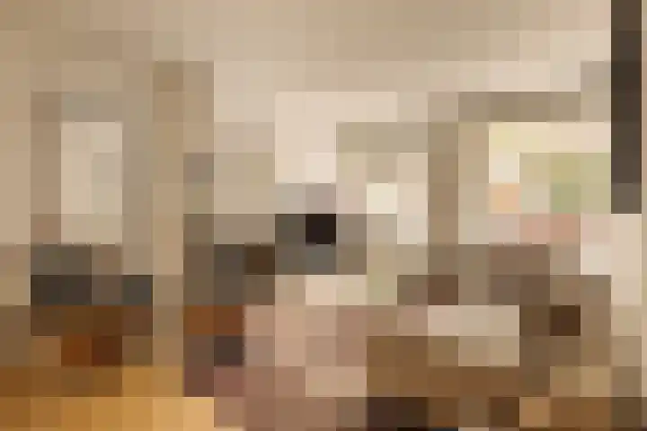 Deurloostraat 111 3 Amsterdam thumbnail 4