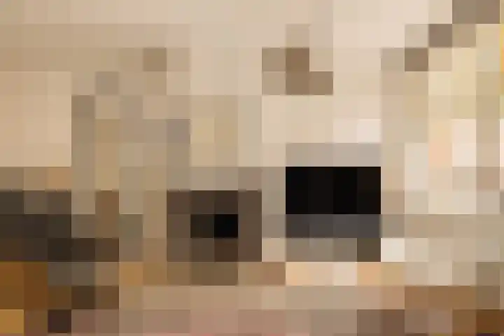 Deurloostraat 111 3 Amsterdam thumbnail 7
