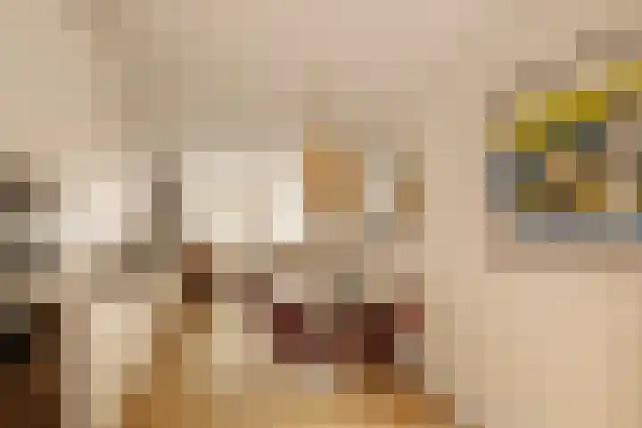 Deurloostraat 111 3 Amsterdam thumbnail 8
