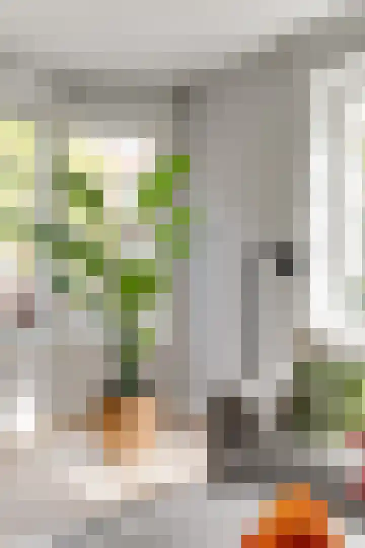 Deurloostraat 115 H Amsterdam thumbnail 14