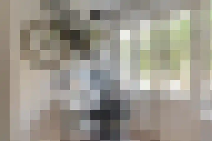 Deurloostraat 115 H Amsterdam thumbnail 34