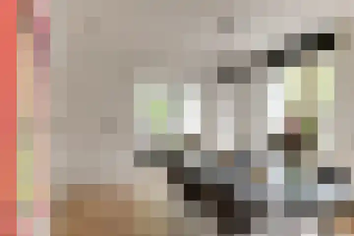 Deurloostraat 115 H Amsterdam thumbnail 4