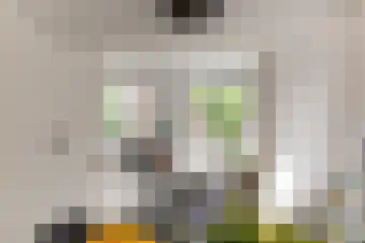 Deurloostraat 115 H Amsterdam thumbnail 8
