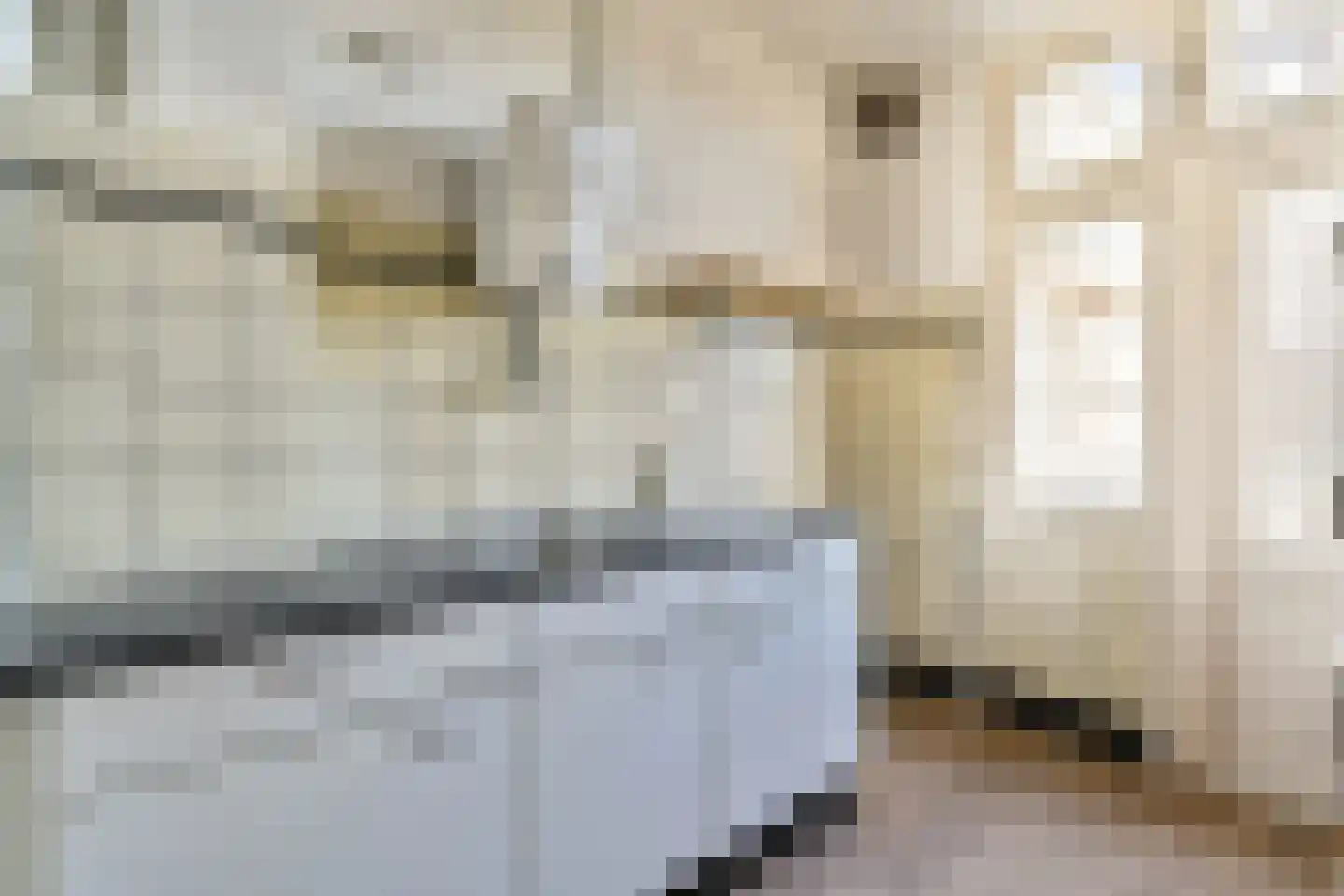 Deurloostraat 117 1 Amsterdam thumbnail 12
