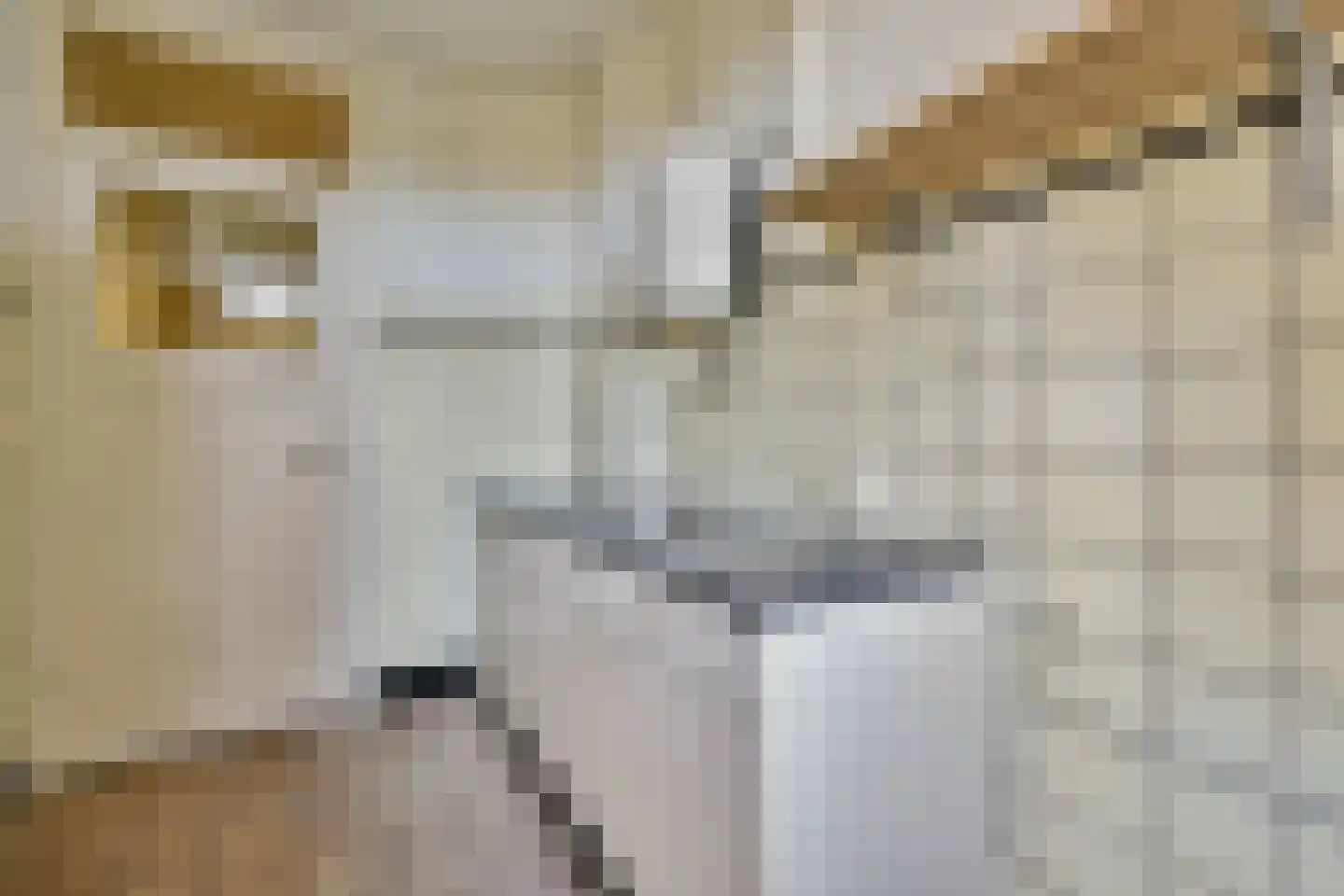 Deurloostraat 117 1 Amsterdam thumbnail 13
