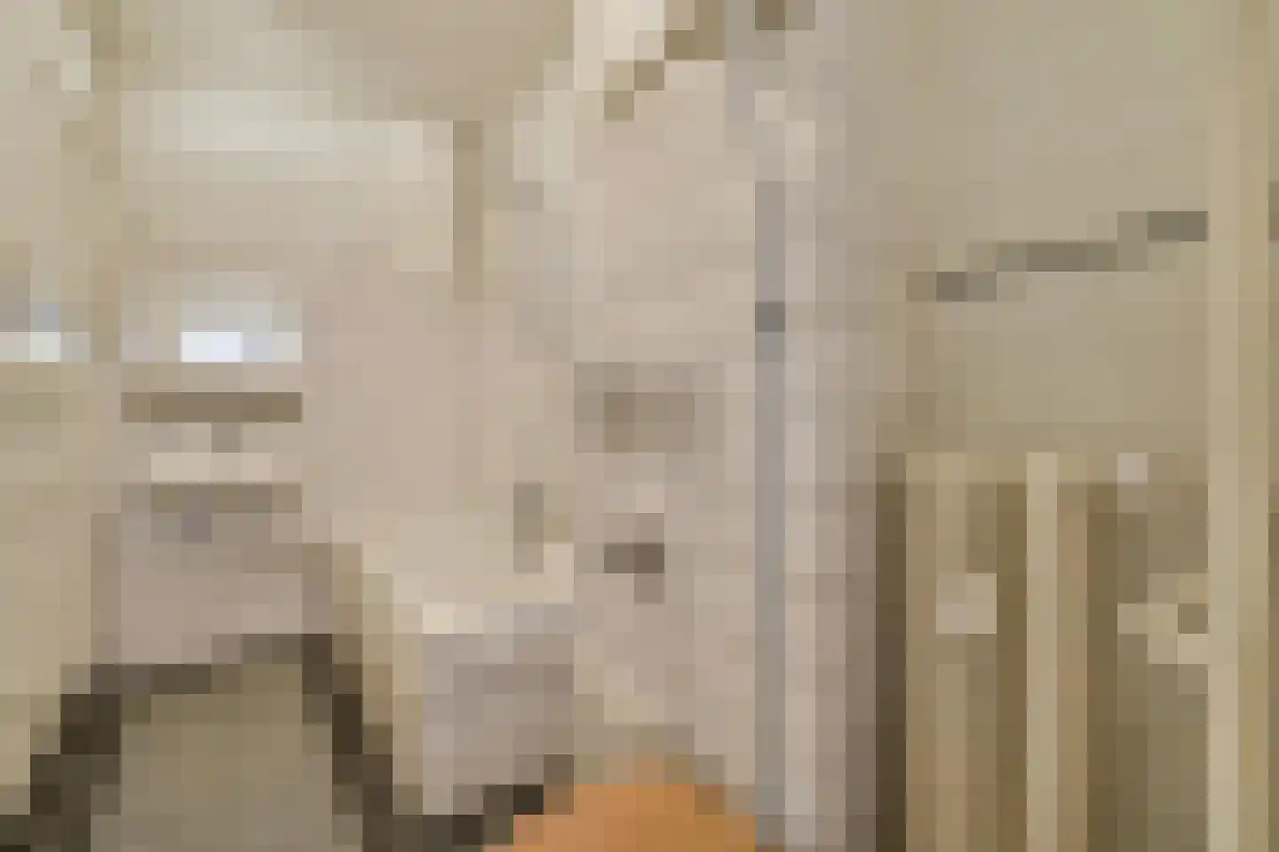 Deurloostraat 117 1 Amsterdam thumbnail 14