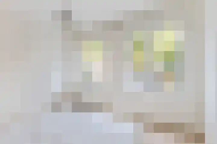 Deurloostraat 12 1 Amsterdam thumbnail 17