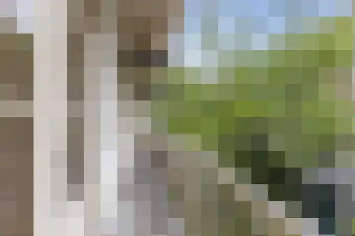 Deurloostraat 12 1 Amsterdam thumbnail 7
